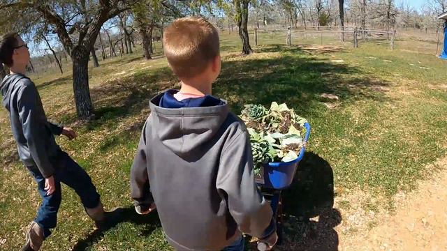 Planting Our Summer Garden! смотреть онлайн