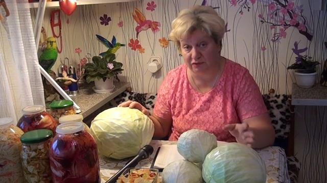 Блог Светланы Кацаповой 9 выпуск (заготовки из капусты) смотреть онлайн