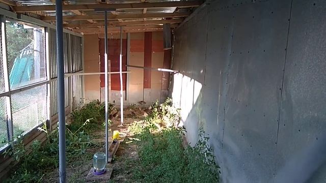 Вольер для молодняка Фазанят и цыплят а так же для взрослой птицы смотреть онлайн