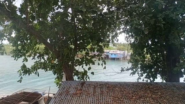 One of the Estuaries in Daanbantayan, Cebu смотреть онлайн