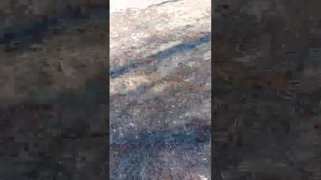 грабёж смотреть онлайн