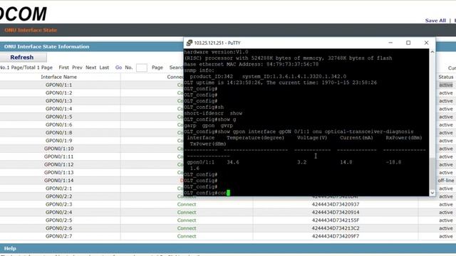 Disable or Enable ONT смотреть онлайн
