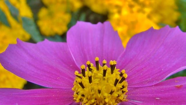 С праздником 8 марта 2018 год смотреть онлайн