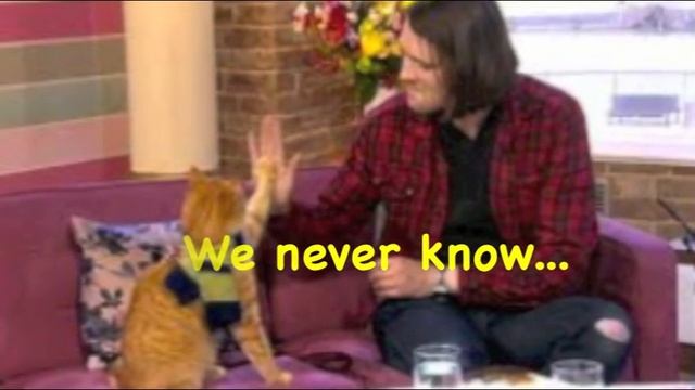 Bob The Street Cat - A Story Of True Friendship - The Cure Love Cats Soundtrack смотреть онлайн