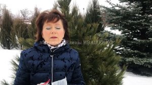 Уход за Розами весной. Подкормка роз, средство от болезней / Елена Иващенко