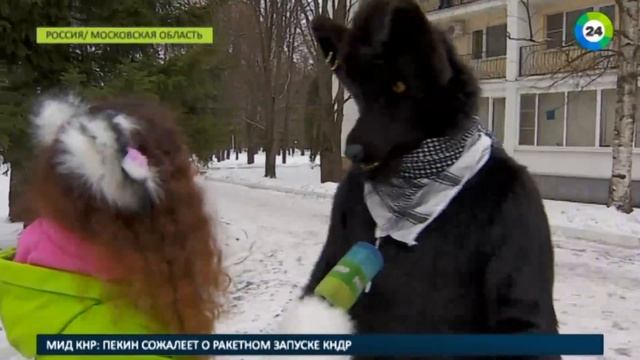 Кто такие фурри? Они не кусаются! смотреть онлайн