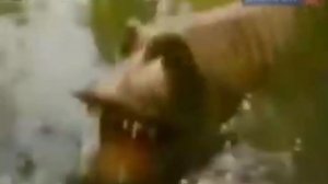 Щука Клюка из мультика Лунтик