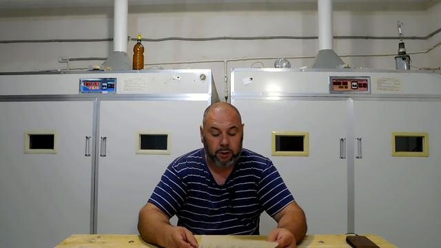 Как там страус?// +просьба// +ответы на некоторые вопросы смотреть онлайн