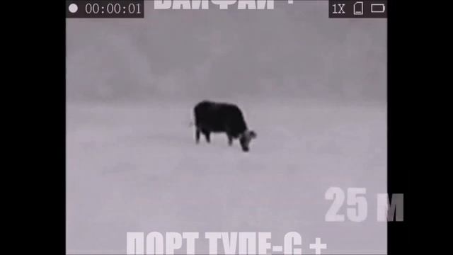 Обзор БЮДЖЕТНОГО тепловизора HIKMICRO LYNX LC06! смотреть онлайн