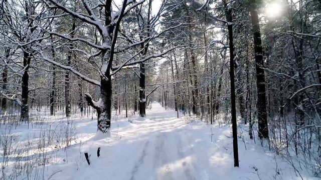 Новый год 1-2 классы смотреть онлайн