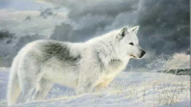Lobos - Mas Que Palabras