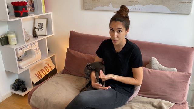 DON'T Get an Italian Greyhound смотреть онлайн