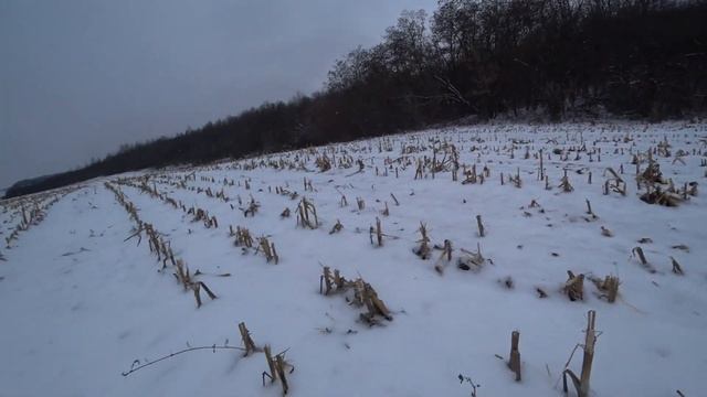 ЗИМА...СНЕЖНЫЙ КОП ПОРАДОВАЛ КОП С EQUINOX 800 смотреть онлайн