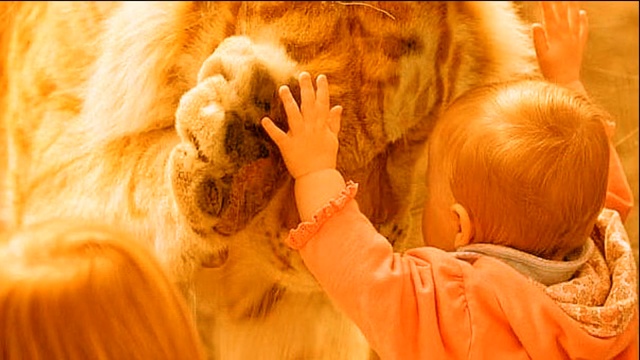 СерьГа - Матильда