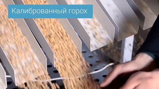 Очистка гороха сепаратором АСМ смотреть онлайн