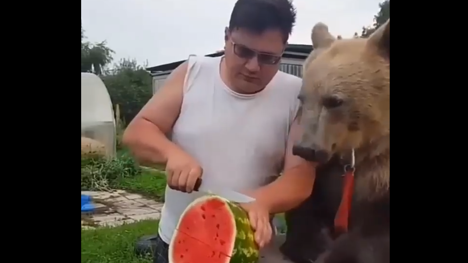 Хозяин, потолще режь! смотреть онлайн