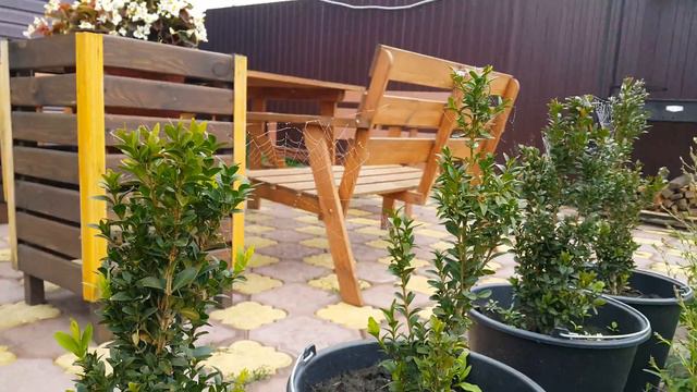 Все замечательное рядом!!!!)))))возле дома... смотреть онлайн