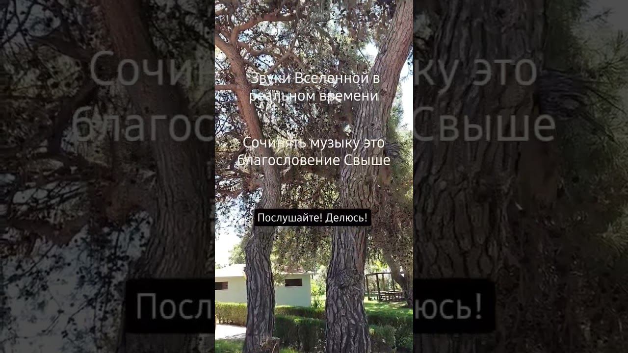Звуки Вселенной!О чём говорит она? #love #авторпесен #shorts #СветланаКлимоваБабичева смотреть онлайн