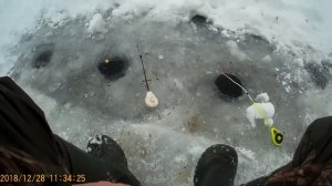 Зимняя рыбалка!!! База Пудыши водоем Яуза. В поисках активного подлеща!