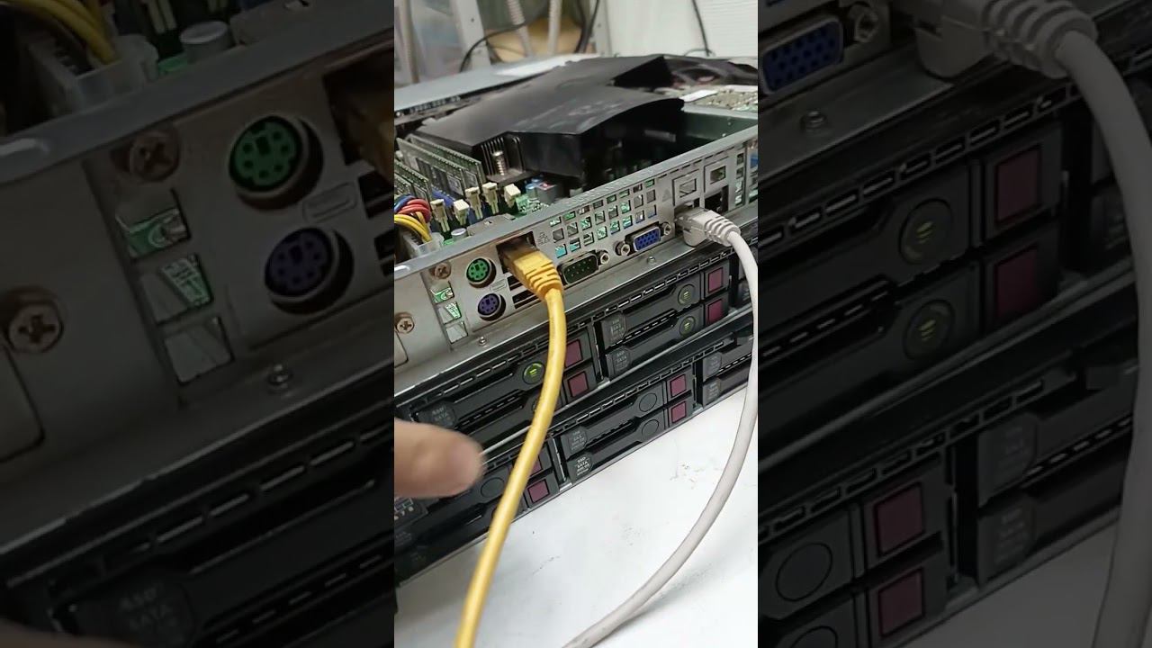 отдам сервачек в хорошие руки смотреть онлайн