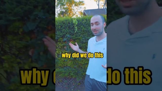 Nightmares be gone! ?