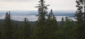 Терский берег Белого моря 2017