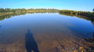 Ловля карася на пуфики и опарыша. Такие размеры карася сводят с ума. Рыбалка 26.07.2019