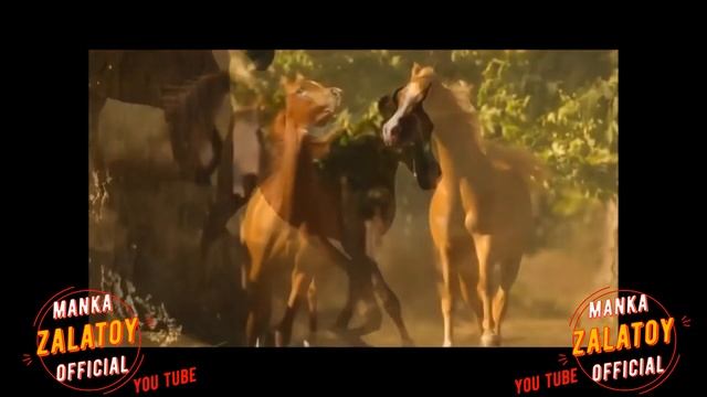 Толя Хохло - Семья 2022 New