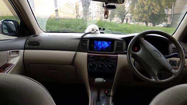 Hertz 165.3 + uno X165 смотреть онлайн