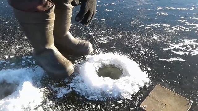 Осторожно КРОКОДИЛЫ !!! Ловля огромных щук. На неизведанных просторах Ишима. Рыбалка с ночёвкой. смотреть онлайн