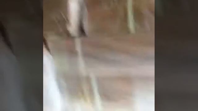 Пиломатериал Тик доска обрезная необрезная смотреть онлайн