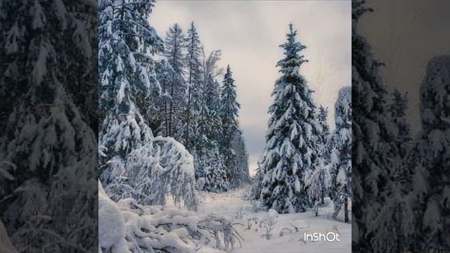 Чистая любовь под гитару смотреть онлайн