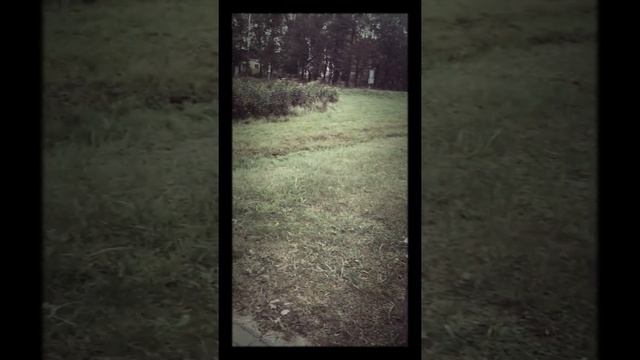 Обменял айфон 6 на скутер смотреть онлайн