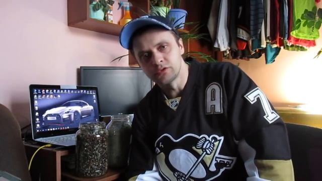 Аквариум. Какой грунт выбрать? Песок или Гравий? смотреть онлайн