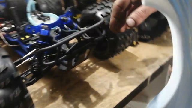 Обзор кошка и сафари про смотреть онлайн