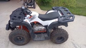 Квадрик Kayo Bull