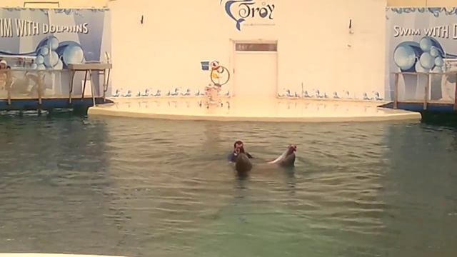 Турция Дельфинарий Белек Троя смотреть онлайн