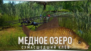 Сумасшедший клёв на Медном озере • Русская Рыбалка 4