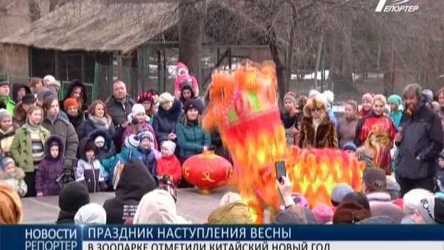 В Одесском зоопарке встретили Новый год по китайскому стилю смотреть онлайн
