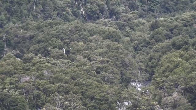 video paseo al sur 2019- sony handycam hdr pj 820 смотреть онлайн