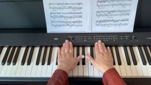 “Belle” из мюзикла “Notre Dame de Paris”. Фортепиано урок.