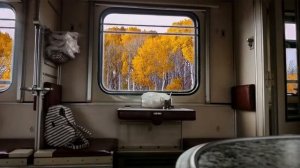 Звук поезда,  для сна