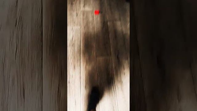 Ставь Лайк Если Хочешь Писать