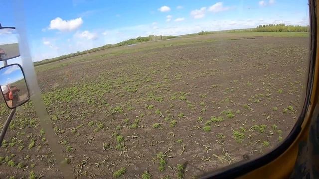 Трактор Кировец. Продолжаем сеять ячмень. Защёлкал задний мост.