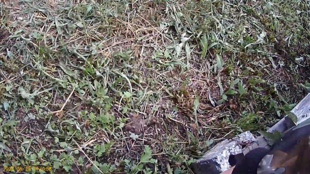 Пчелопакеты из Узбекистана спустя два месяца часть 2. смотреть онлайн