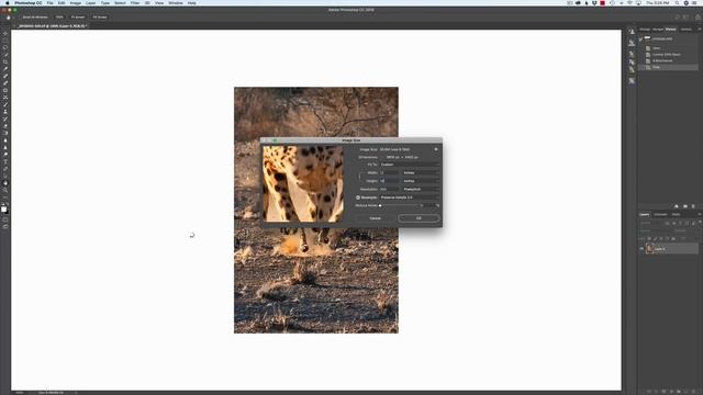 Adobe Photoshop CC :: Preserve Details 2.0 смотреть онлайн
