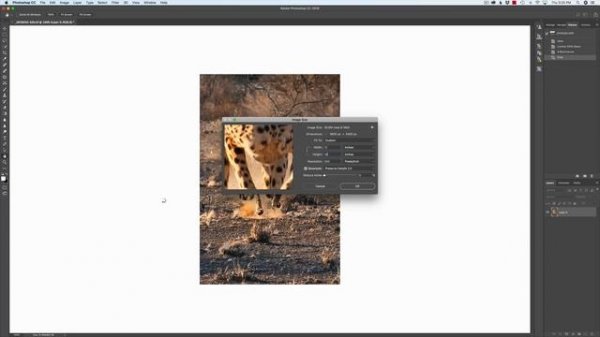 Adobe Photoshop CC :: Preserve Details 2.0