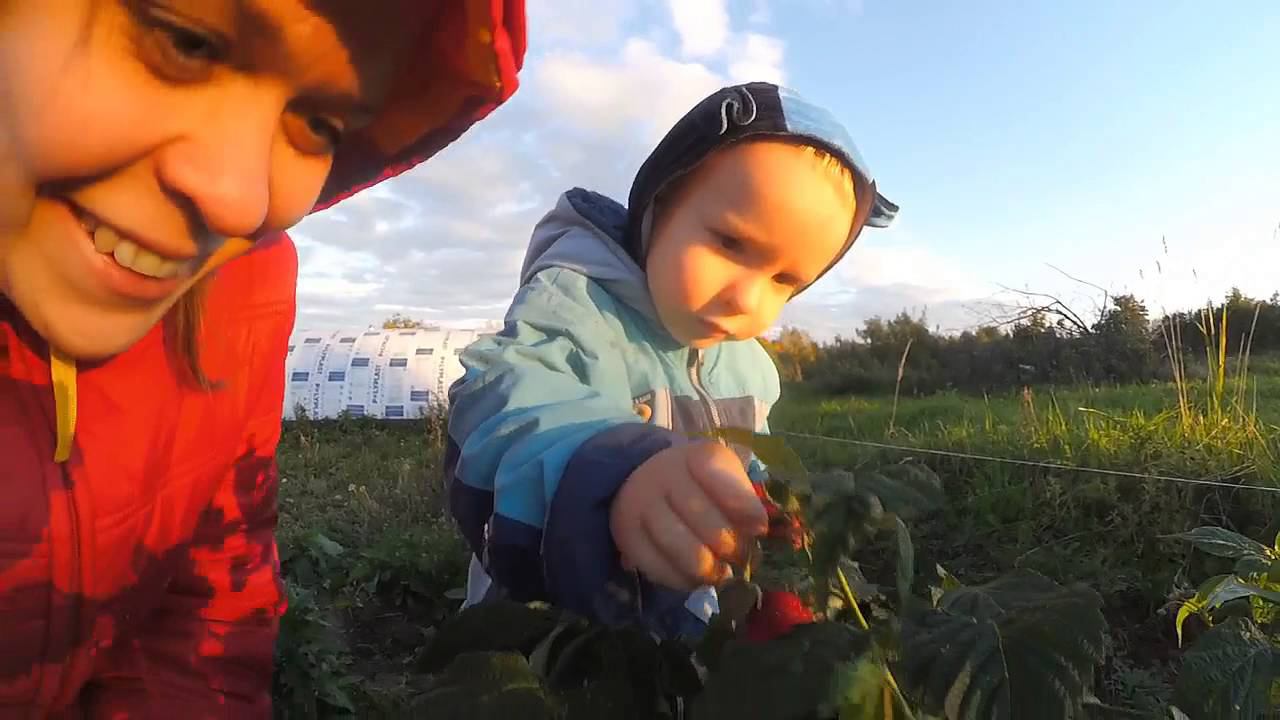 Как сделать ВОРОТА ИЗ ХЛАМА. Тру ориджинал КОЛХОЗ-СТАЙЛ! смотреть онлайн