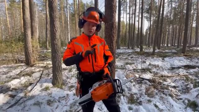 Как свалить дерево (безопасный способ для новичков). смотреть онлайн