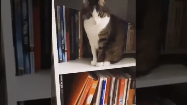 Аппарат абонента выключен смотреть онлайн